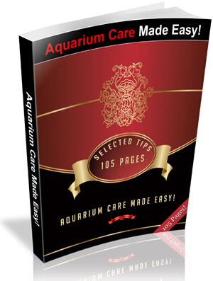 Aquarium Care Made Easy!