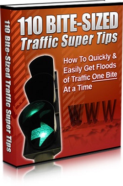 110 Bite-Sized Traffic Super Tips