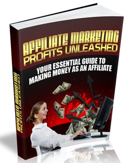 Affiliate Marketing Profits Unleashed