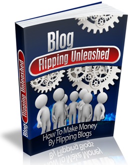 Blog Flipping Unleashed