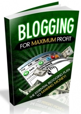 Blogging For Maximum Profit