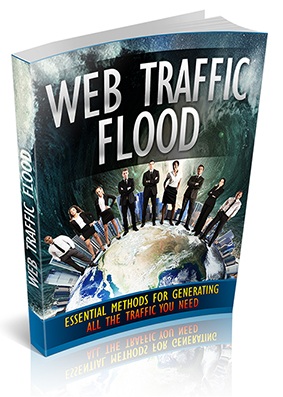 Web Traffic Flood